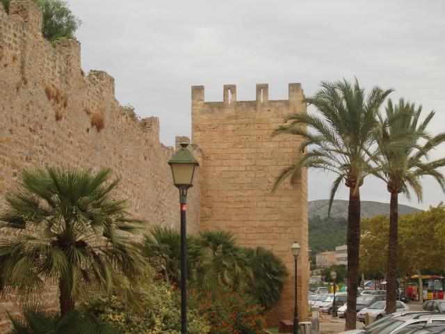 P1010133.JPG