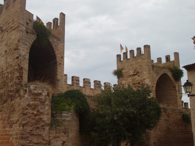 P1010135.JPG