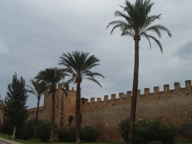 P1010137.JPG
