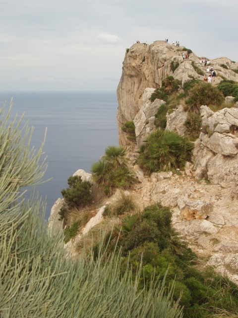 P1010143.JPG
