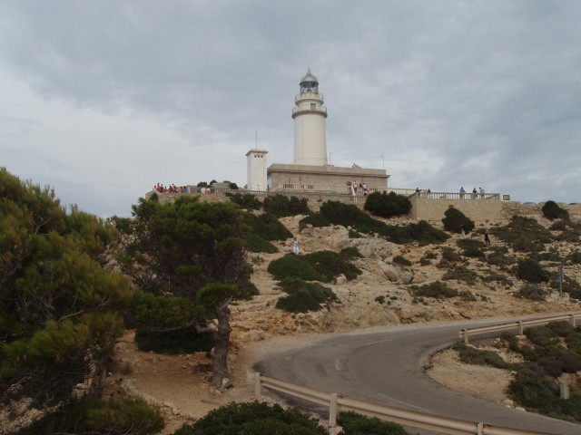 P1010155.JPG