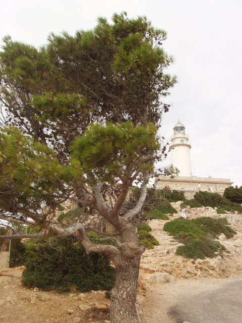 P1010157.JPG