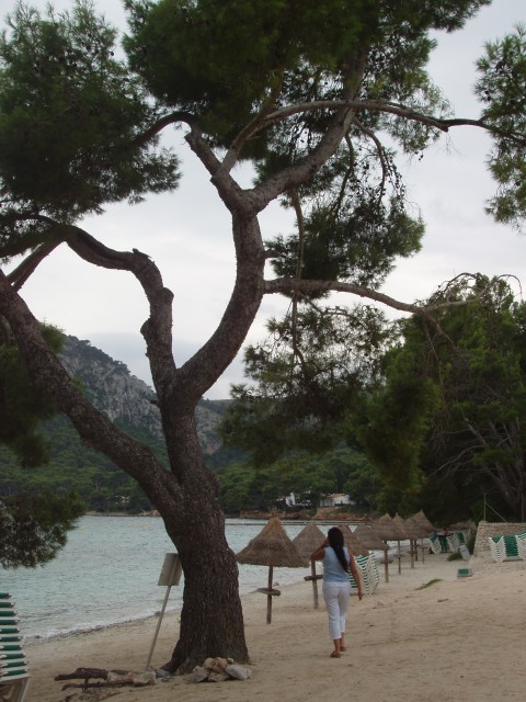 P1010163.JPG