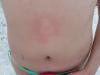 P1010168_thumb.JPG