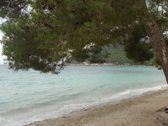 P1010170.JPG
