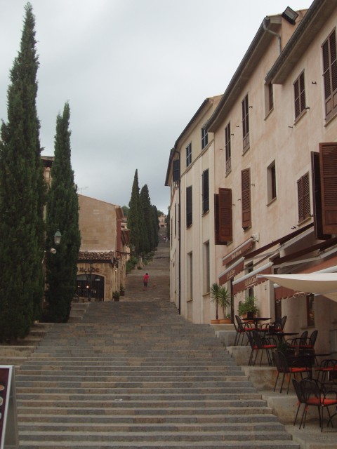 P1010189.JPG