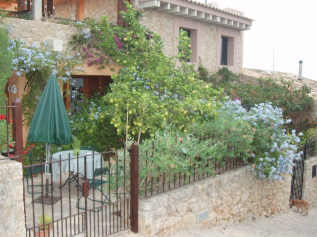 P1010193.JPG