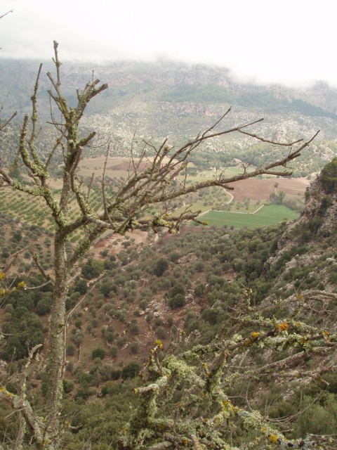 P1010207.JPG