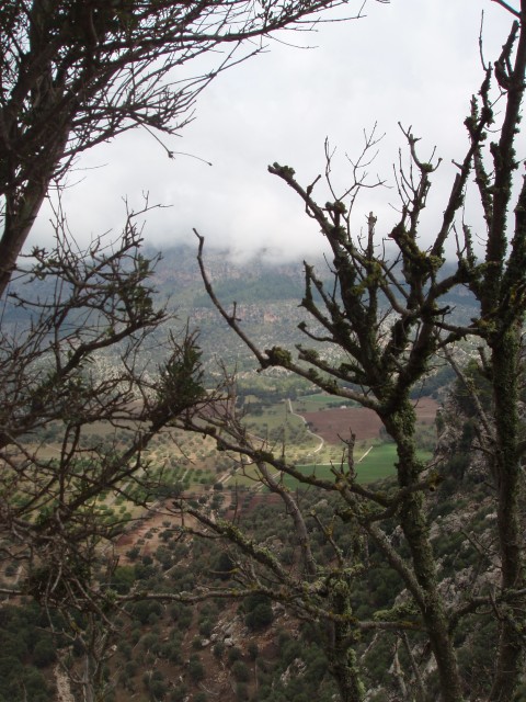 P1010208.JPG