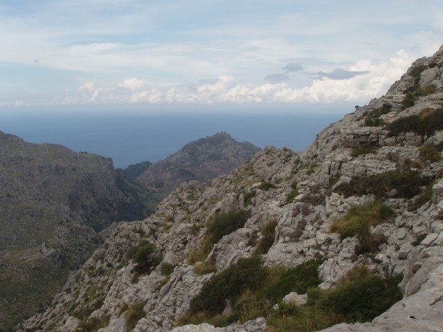 P1010212.JPG