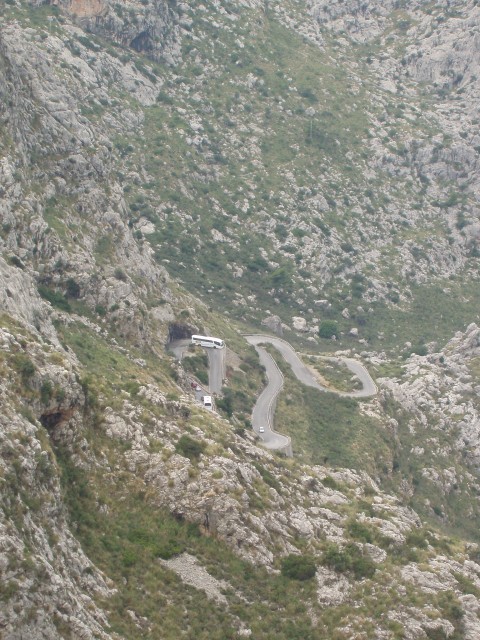 P1010217.JPG