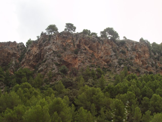 P1010225.JPG