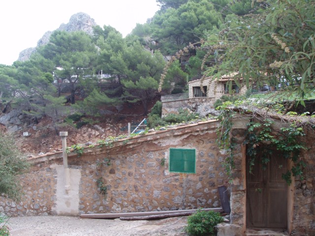 P1010229.JPG