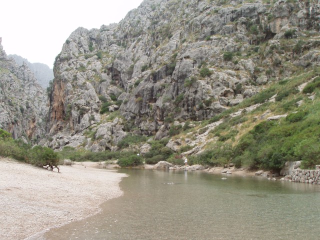 P1010239.JPG
