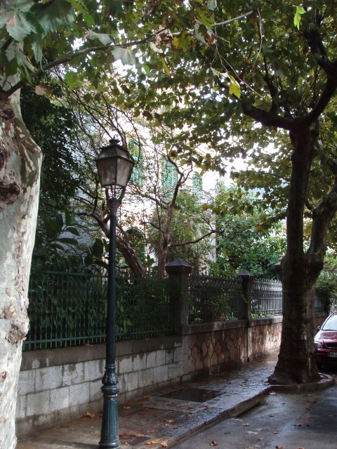 P1010246.JPG