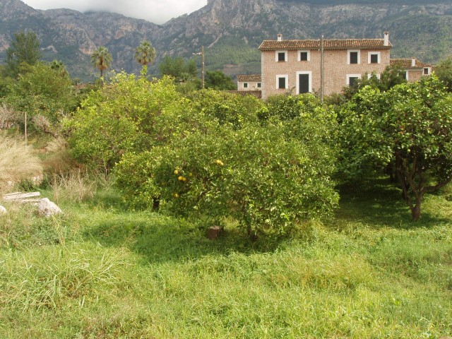 P1010250.JPG