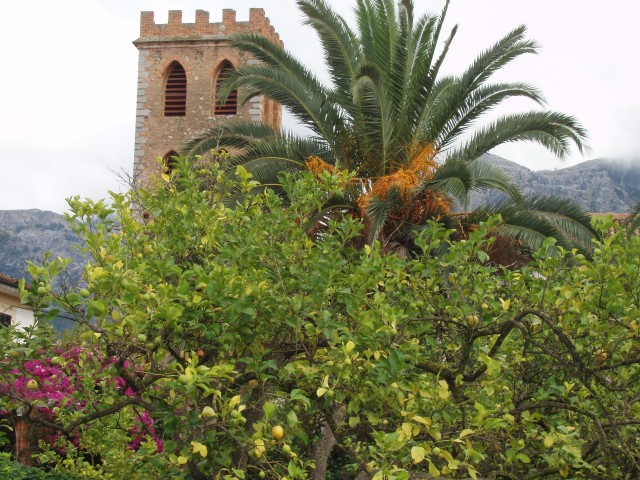 P1010253.JPG