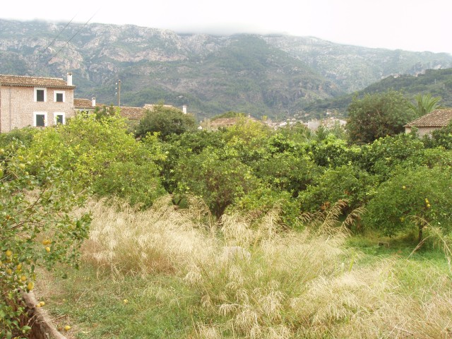 P1010254.JPG