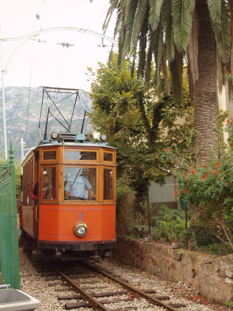 P1010255.JPG