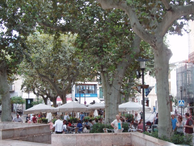 P1010277.JPG