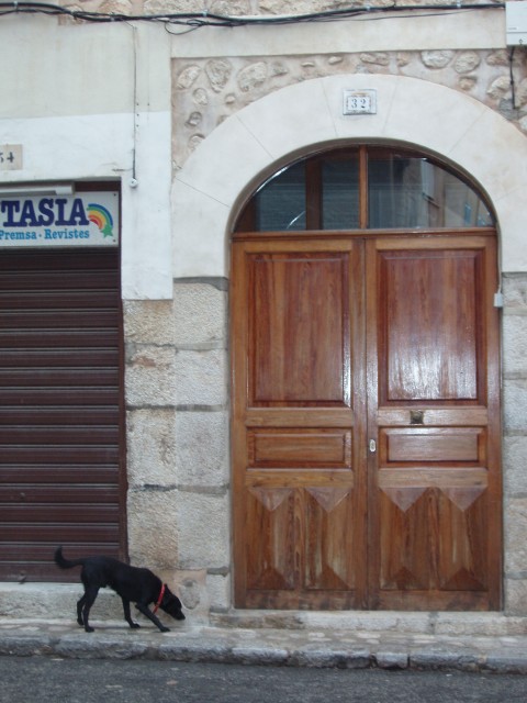 P1010283.JPG