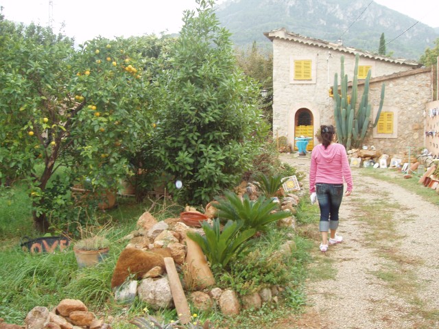 P1010288.JPG