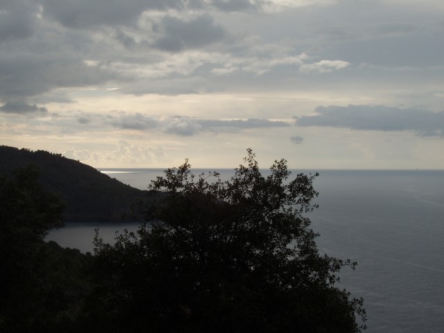 P1010289.JPG