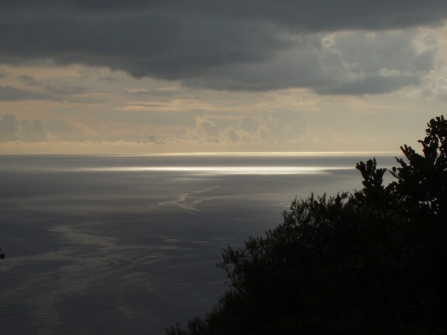 P1010298.JPG