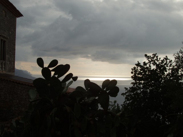 P1010313.JPG