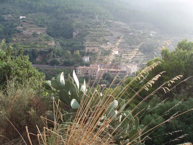P1010321.JPG