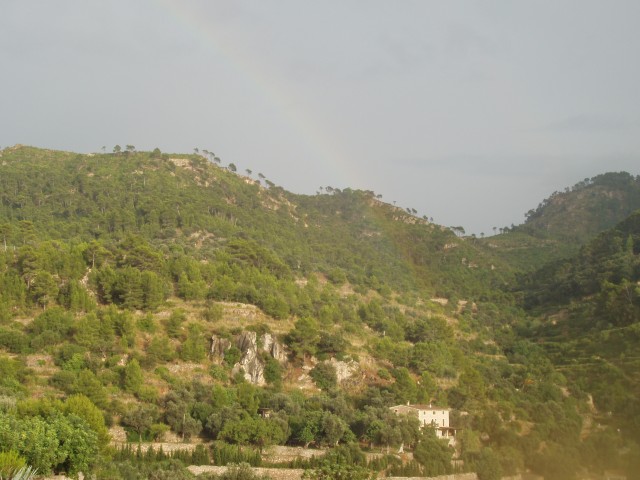 P1010326.JPG