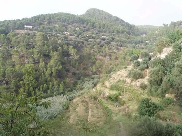 P1010330.JPG