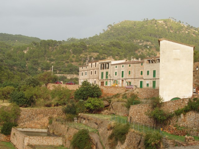 P1010331.JPG