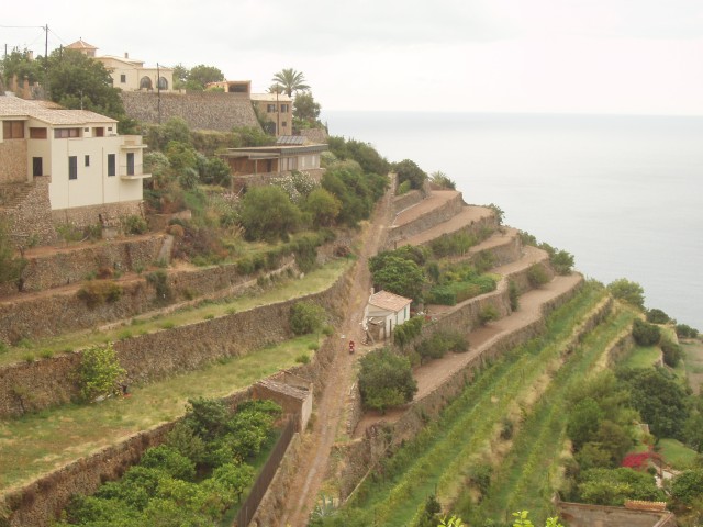 P1010332.JPG