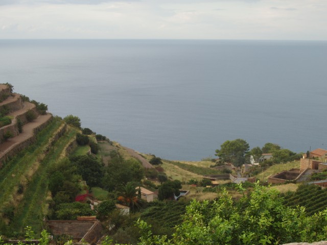 P1010333.JPG