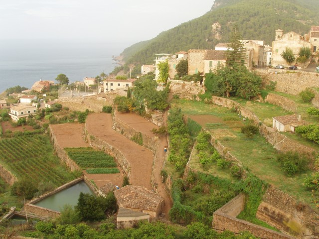 P1010334.JPG