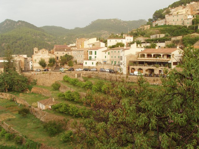 P1010335.JPG
