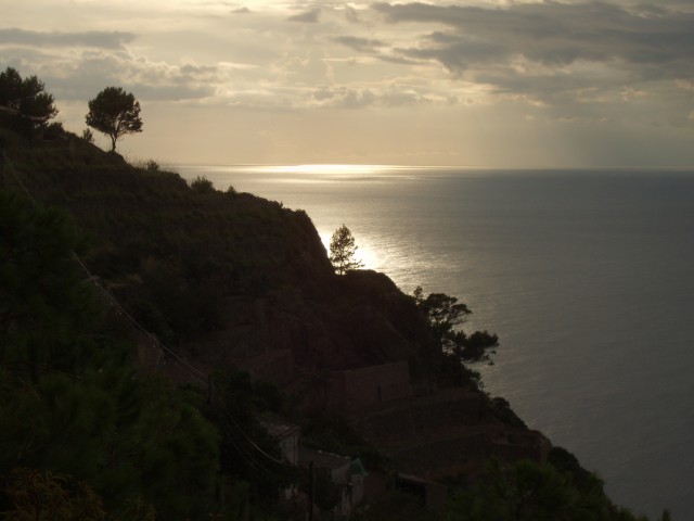 P1010343.JPG