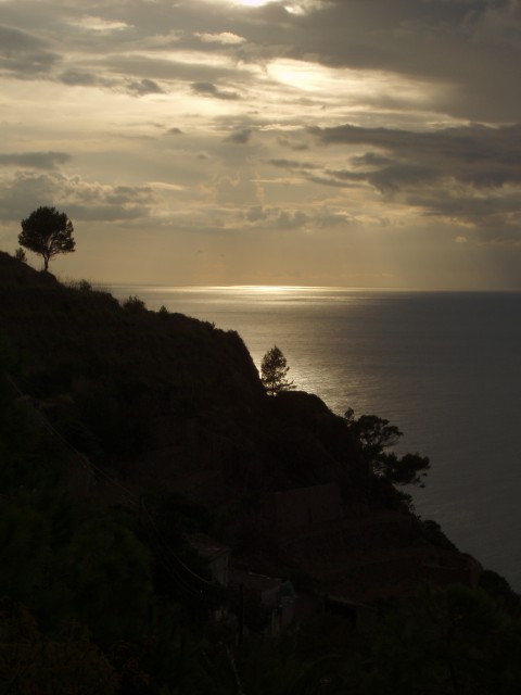 P1010344.JPG
