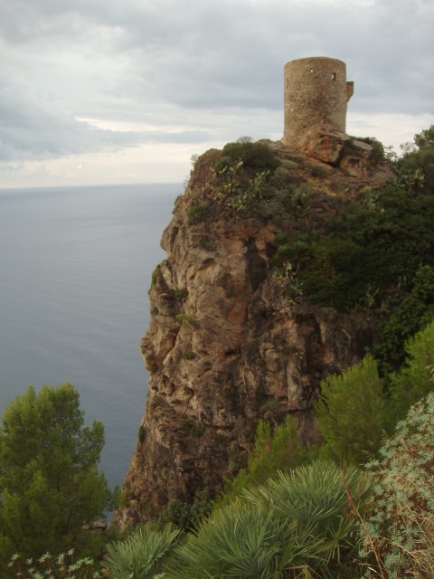 P1010345.JPG