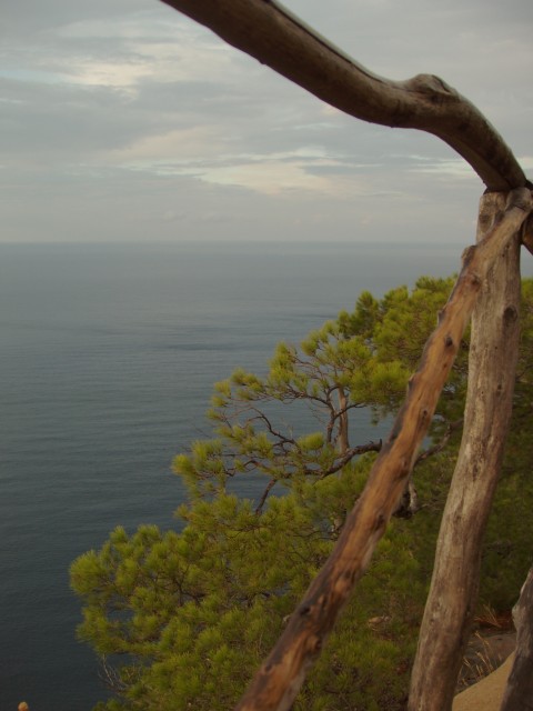 P1010349.JPG
