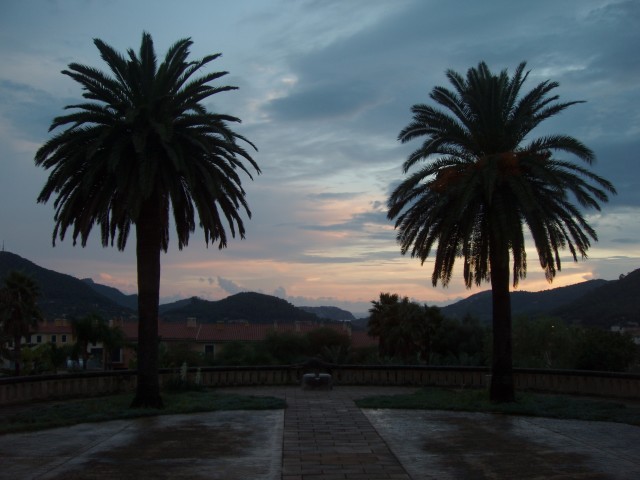 P1010365.JPG
