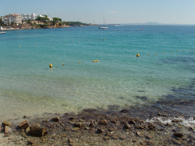 P1010405.JPG