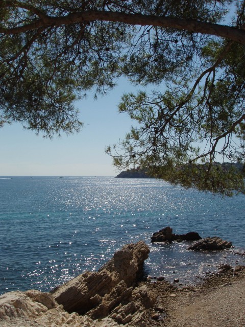 P1010409.JPG