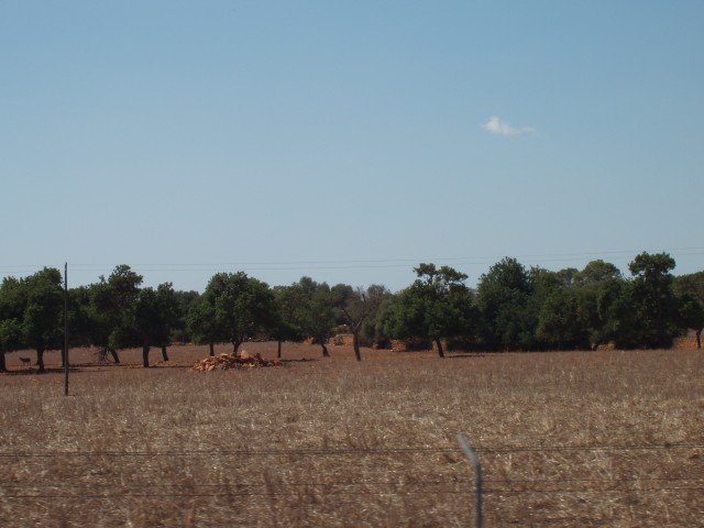 P1010001.JPG