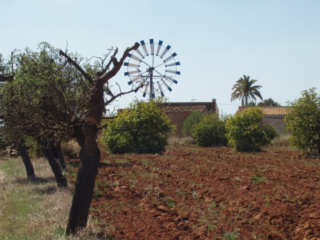 P1010006.JPG