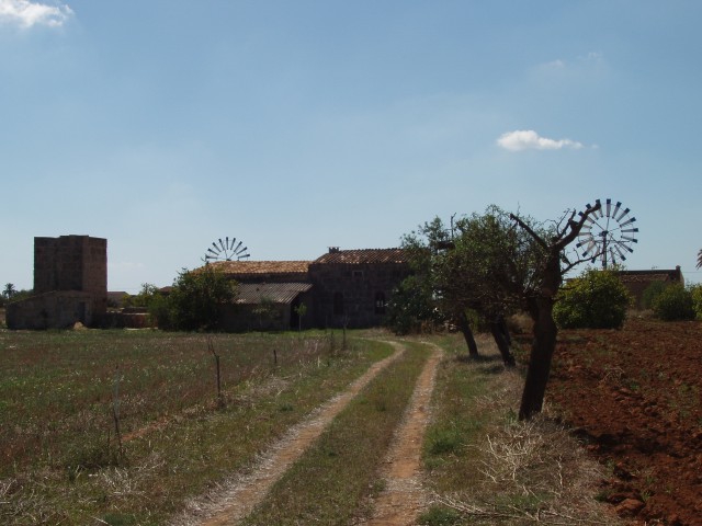 P1010007.JPG