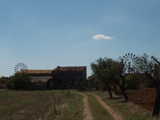 P1010009.JPG