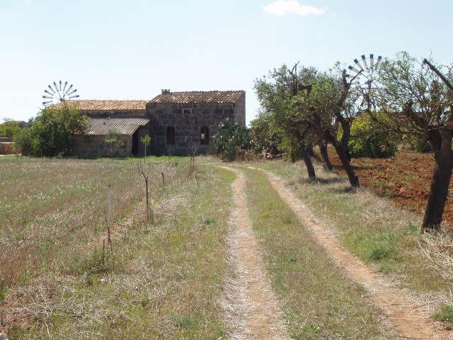 P1010010.JPG