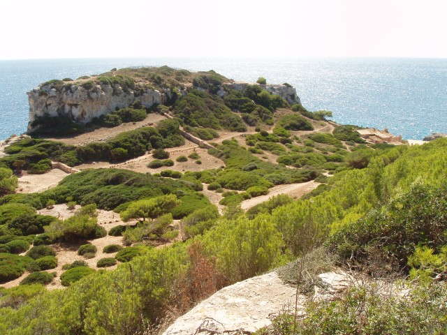 P1010014.JPG